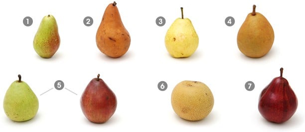 Visual guide to pears