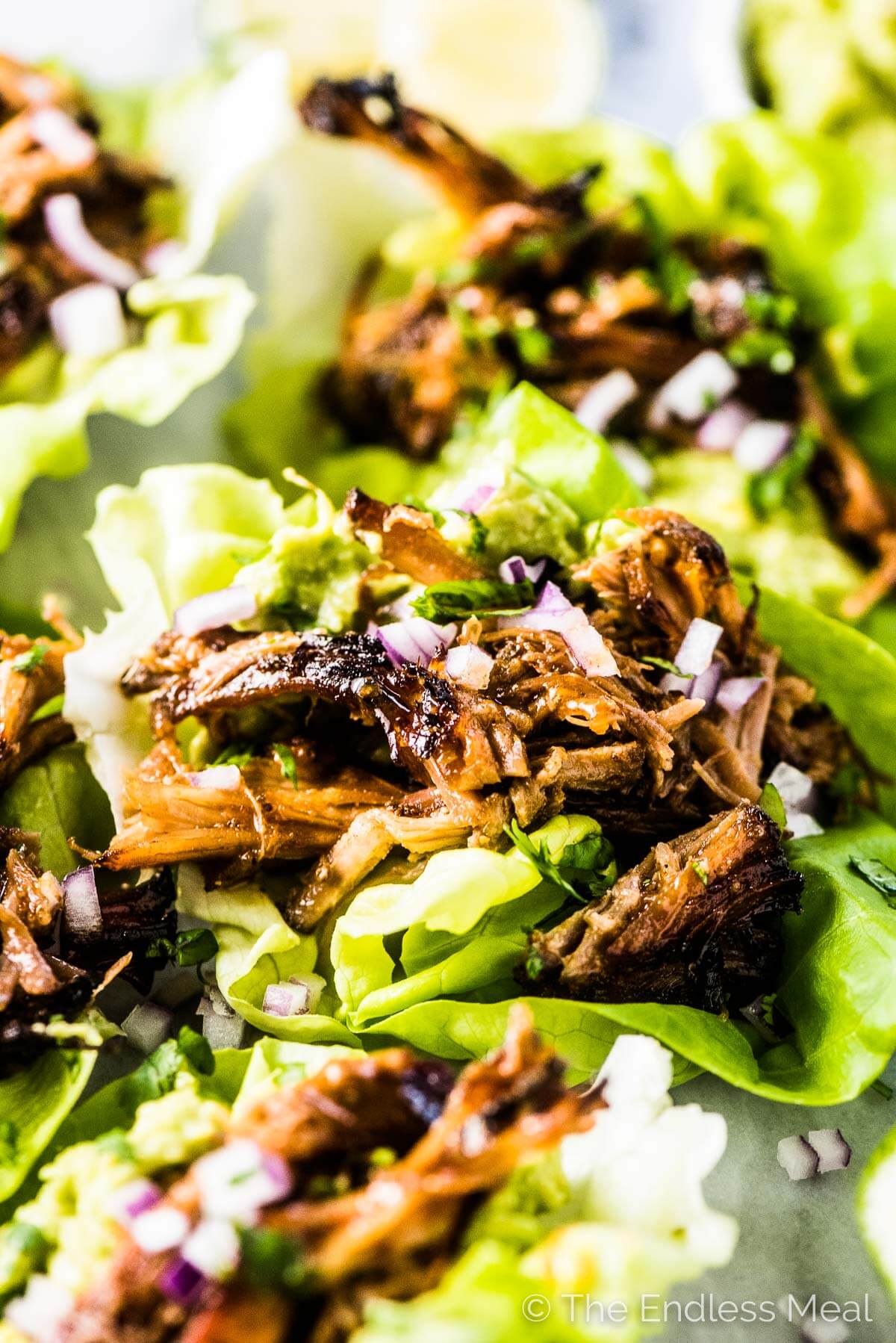 Close up of shredded chicken in lettuce wraps with chopped purple onions