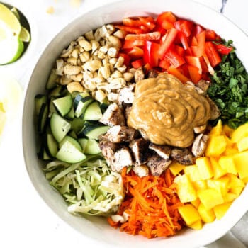 Vertical overhead image of thai chicken salad in a large serving bowl with all the ingredients separated out - cabbage, cucumber, cashews, red bell pepper, cilantro, mango, carrots, chicken and a peanut sauce.