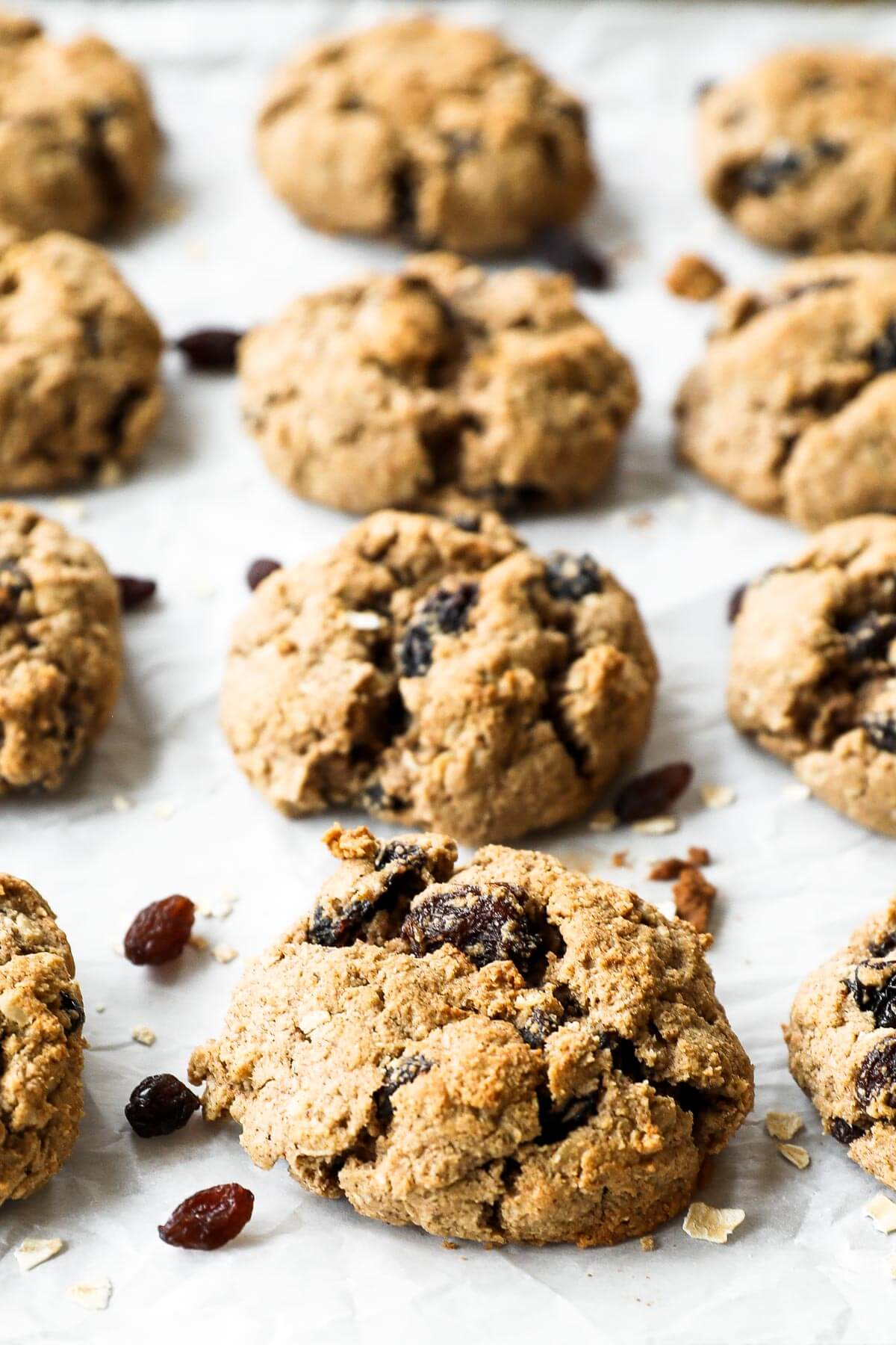 Angled image of vegan, healthy oatmeal raisin cookies on baking sheet. Front and center is a close up of one cookie with several others blurred out in the background.