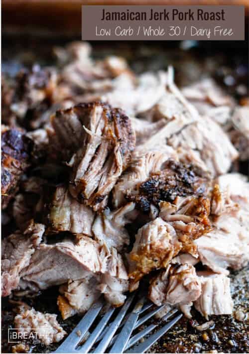 Jerk pork roast shredded close up