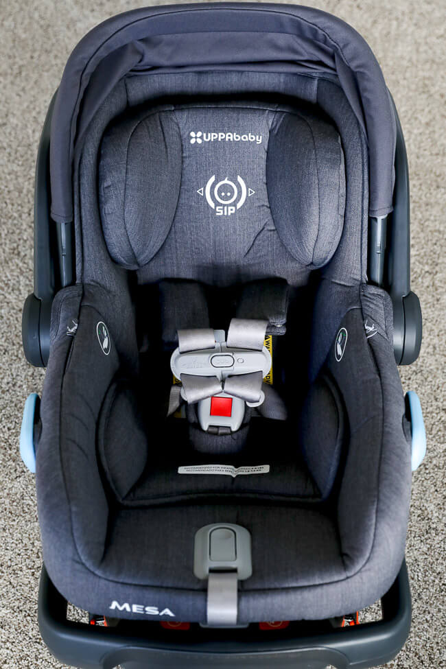 Vertical image of non-toxic car seat for baby. 