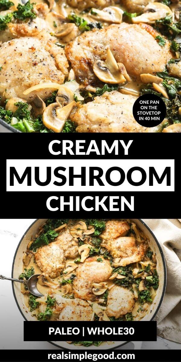 Stovetop Creamy Mushroom Chicken Thighs (Dairy Free)